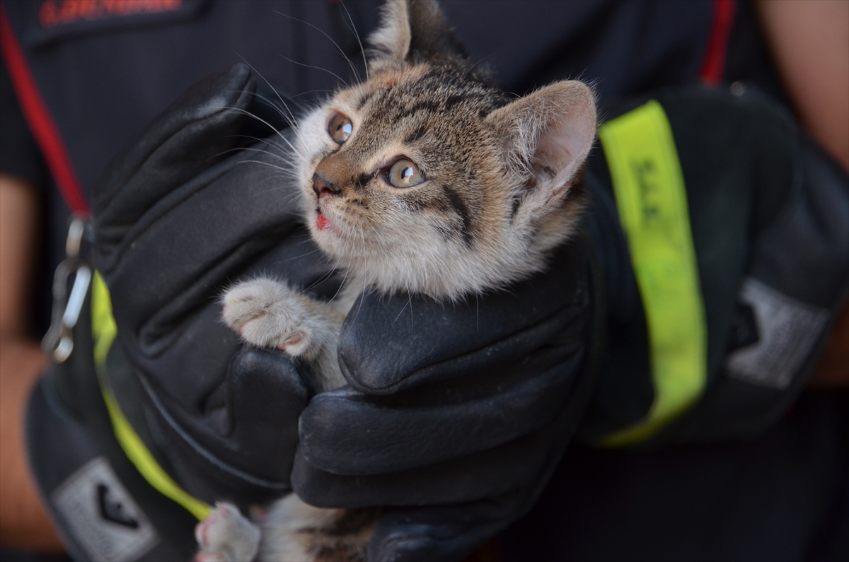 Arabada sıkışan kediyi kurtaran itfaiye memuru ve araç sahibi o anları anlattı