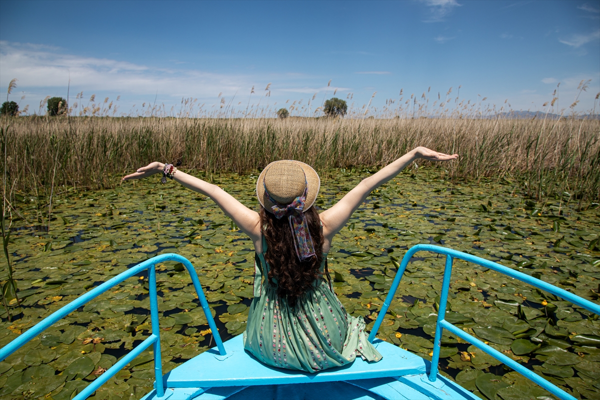 Beyşehir Gölü'ndeki ''nilüfer bahçesi'' çiçek açtı