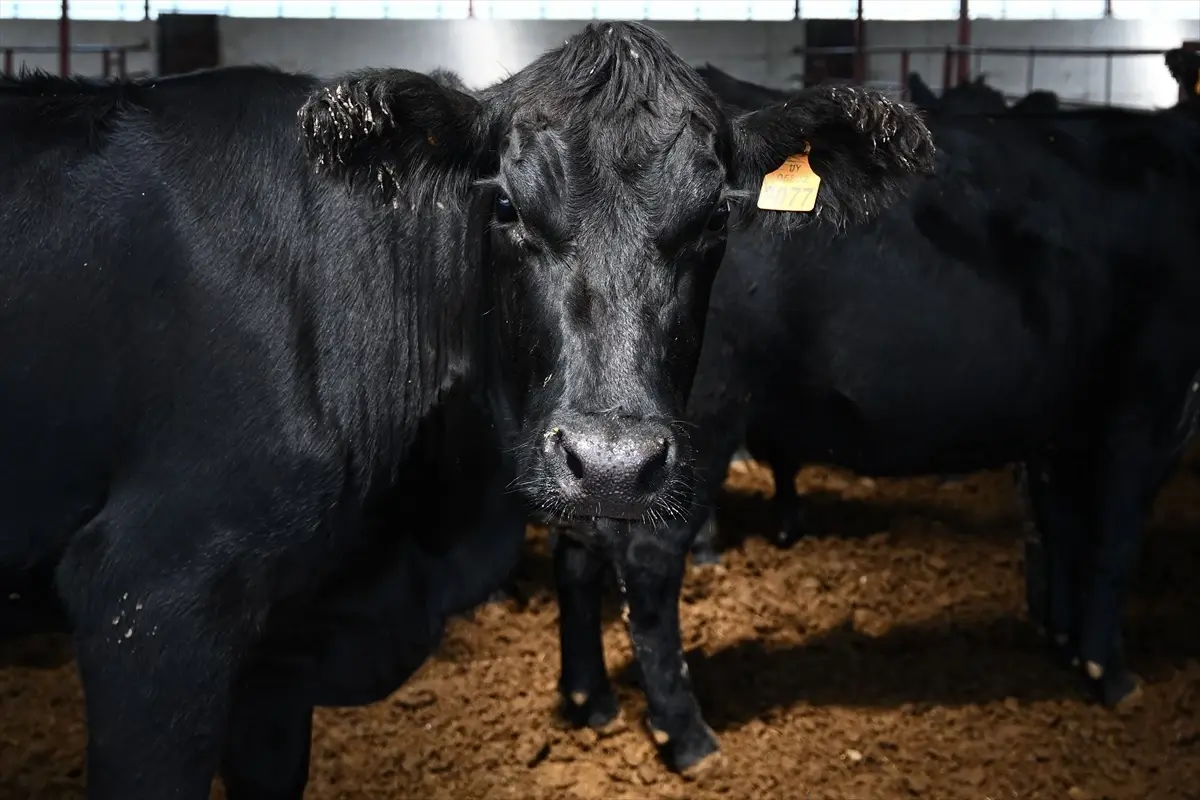 Kırsalda Bereket Projesi Konya sonuçları açıklandı
