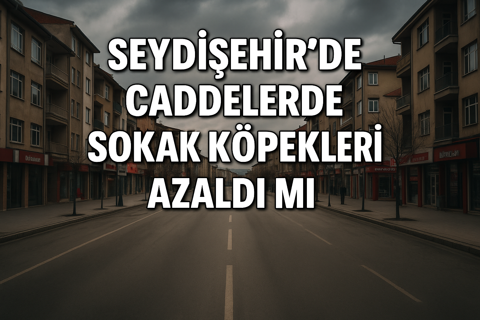 Seydişehir'de Sokak Köpekleri Sorunu Çözüme Kavuşuyor mu?