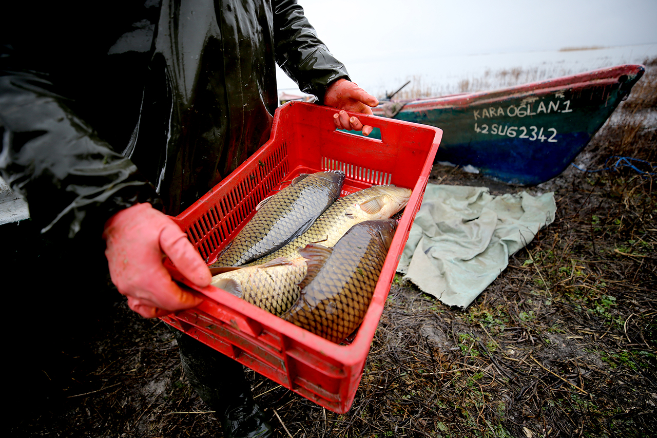 Beyşehir ve Suğla Göllerinde Yasak Kalktı, Balıkçılar 'Vira Bismillah' Diyerek Sezona Başladı!