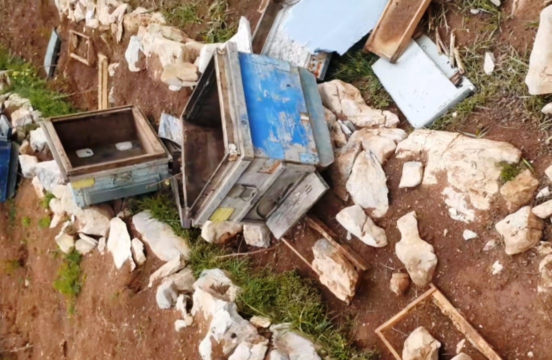  Bozkırda  ayılar bir arıcının kovanlarına zarar verdi.