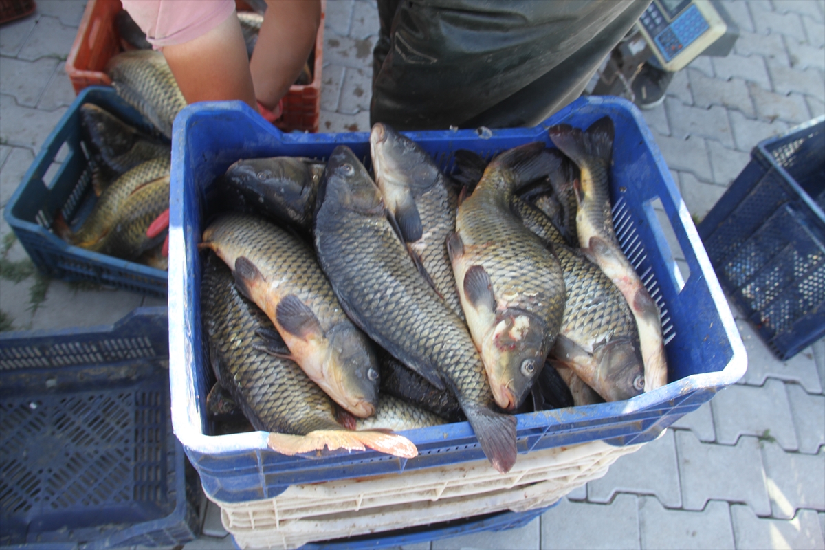 Konya'daki Beyşehir Gölü'nde yeni av sezonu başladı.