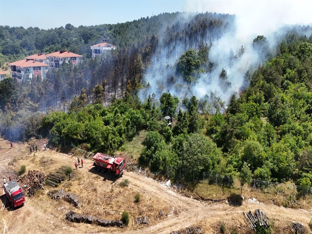 Sakarya Orman İşletme Müdürlüğü'nün deposunda yangın; ormana da sıçradı
