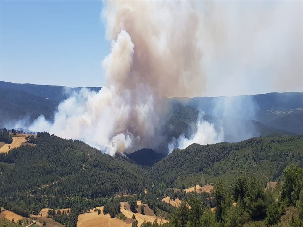 Sakarya’da orman yangını; 2 mahallede tahliye kararı