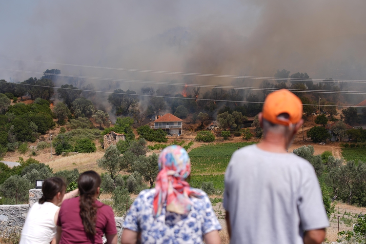 Ormanlık alanlarda çıkan yangınlara havadan ve karadan müdahale ediliyor
