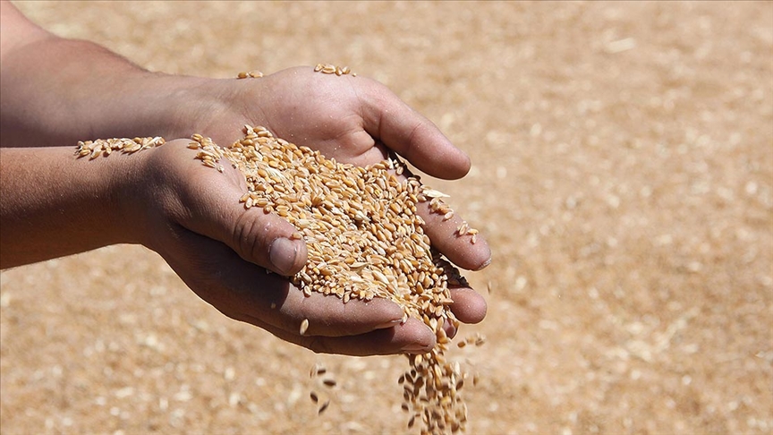  TMO 2025 yılı hububat alım ödemelere başladı