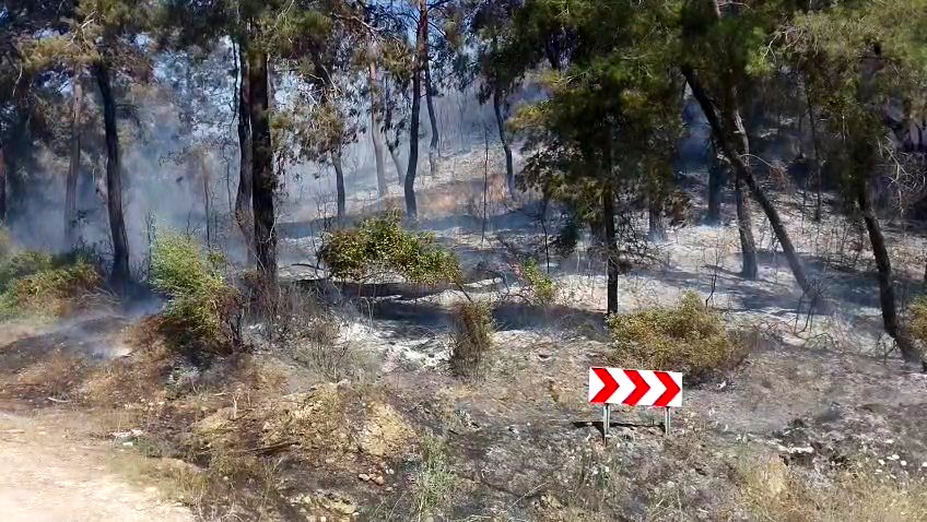 Manavgat'ta  orman yangını kontrol altına alındı