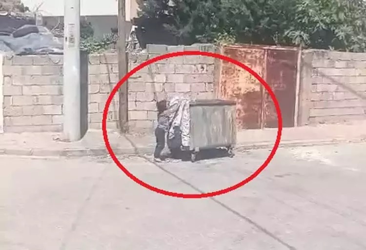 Yere atılan eski kilimi alıp çöp konteynerine bırakan kız çocuğuna belediyeden ödül