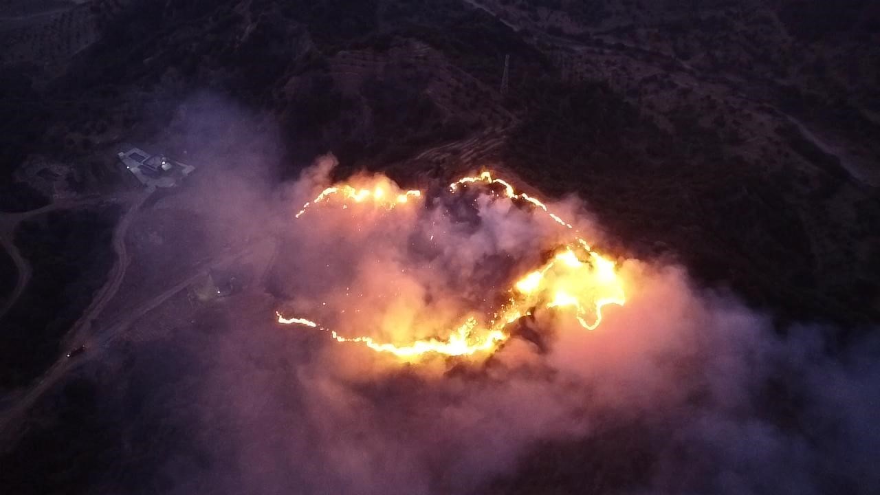 Manisa'da Keneyi yakmak isterken ormanı yaktı