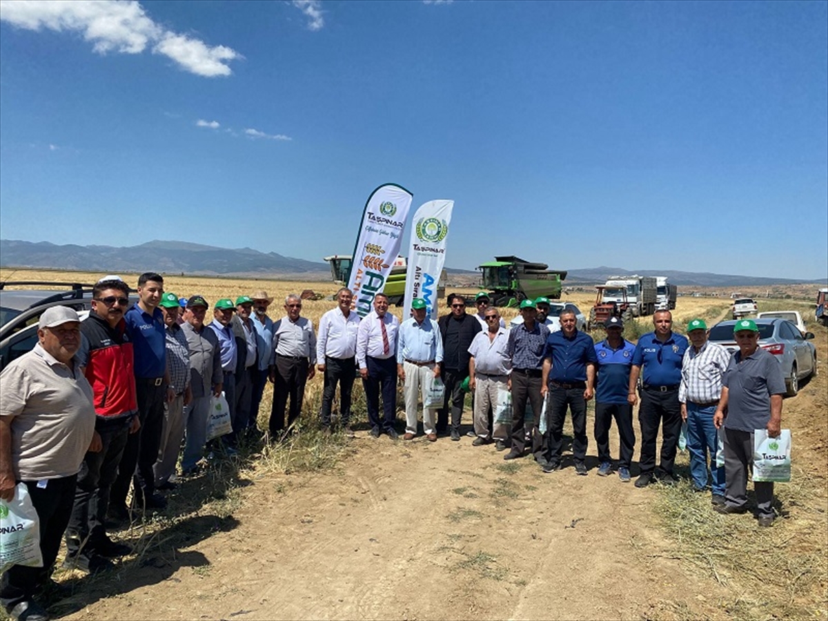 KONYA - Yalıhüyük Belediyesi Hububat Hasat Şöleni düzenledi