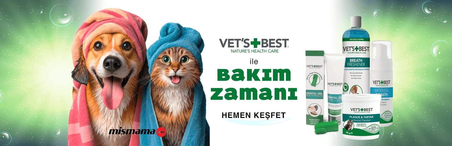 Evcil hayvan Alışverişinde dikkat edilmesi  gerekenler