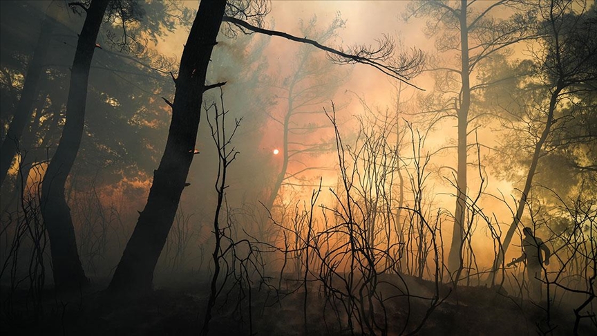  İzmir'de orman yangınlarına müdahale sürüyor