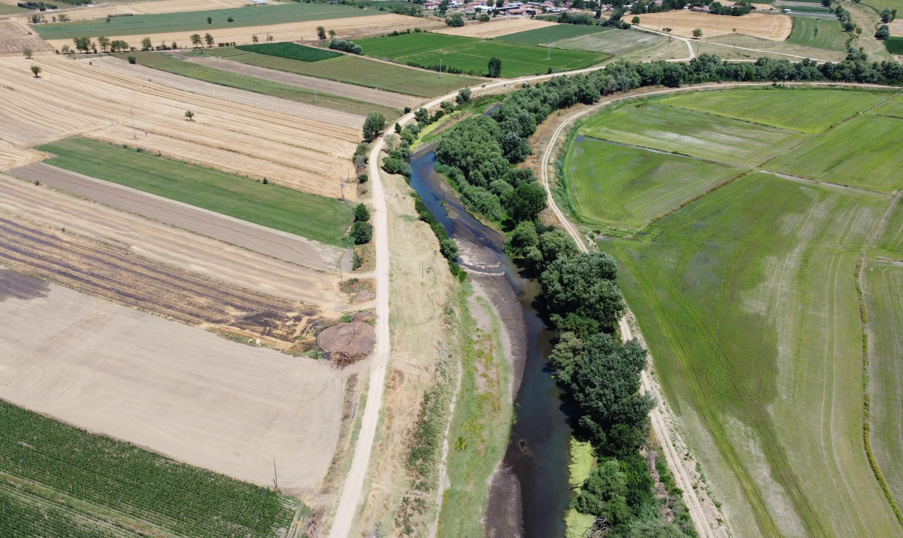 Tunca Nehri'nin kuruma noktasına geldiği Edirne’de çeltik üreticisi endişeli
