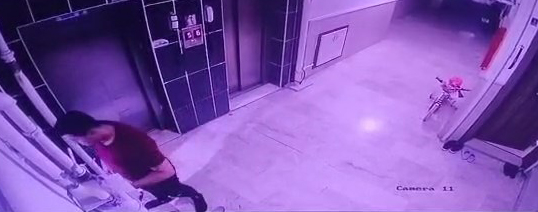 Konya'da kediye şiddet uygulayan şüpheli yakalandı