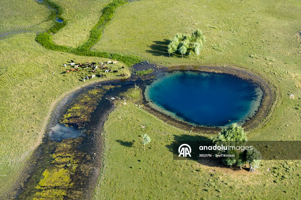KONYA - Beyşehir Gölü'nde kuraklık nedeniyle ortaya çıkan gözeler havadan görüntülendi
