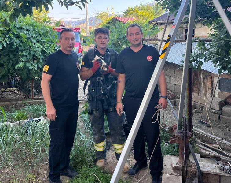 Seydişehir'de Kuyuya Düşen Yavru Kedi İtfaiye Ekiplerince Kurtarıldı