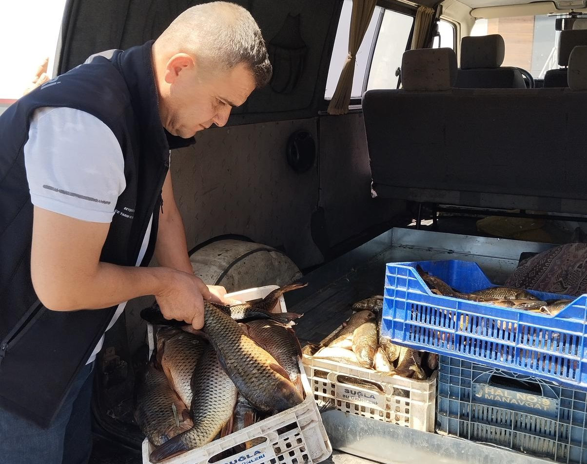 Konya’nın Beyşehir Gölü’nde Sürdürülebilir Balıkçılık İçin Denetimler Artırıldı