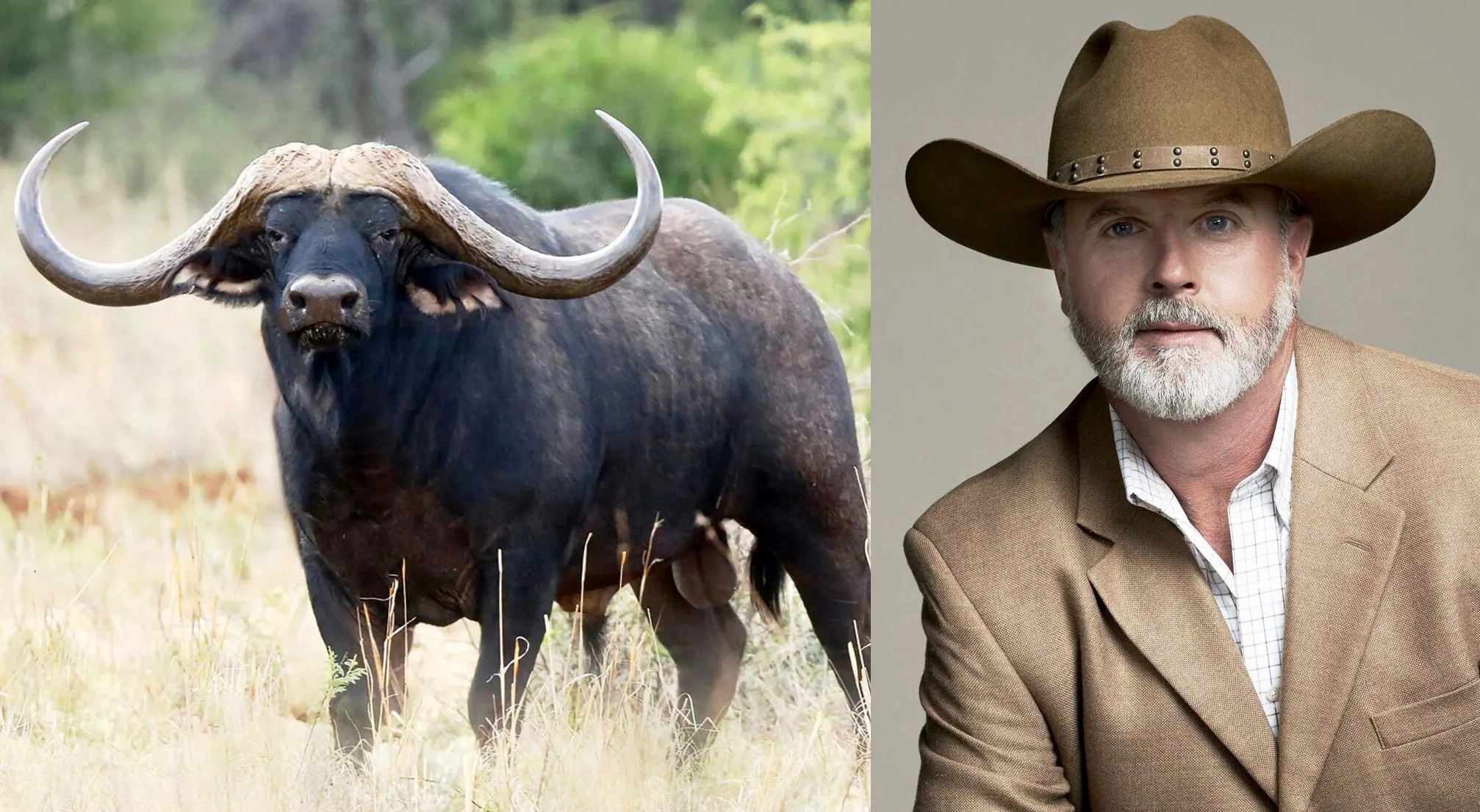 Teksaslı Milyoner Asher Watkins, "Kara Ölüm" Lakaplı Manda Tarafından Av Sırasında Öldürüldü