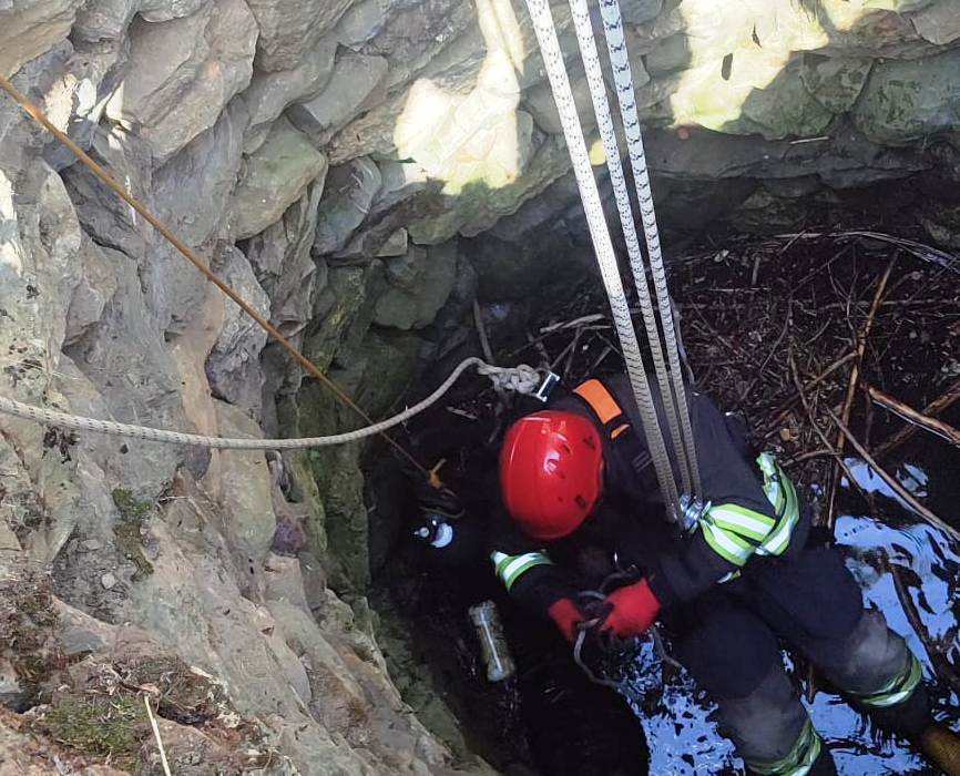 Seydişehir'de Kuyuya Düşen Keçi İtfaiye Ekipleri Tarafından Kurtarıldı