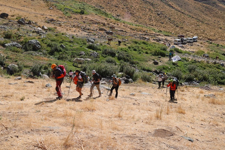 Hakkari'deki zirvelere tırmanan dağcıların ağır yükünü katırlar hafifletiyor