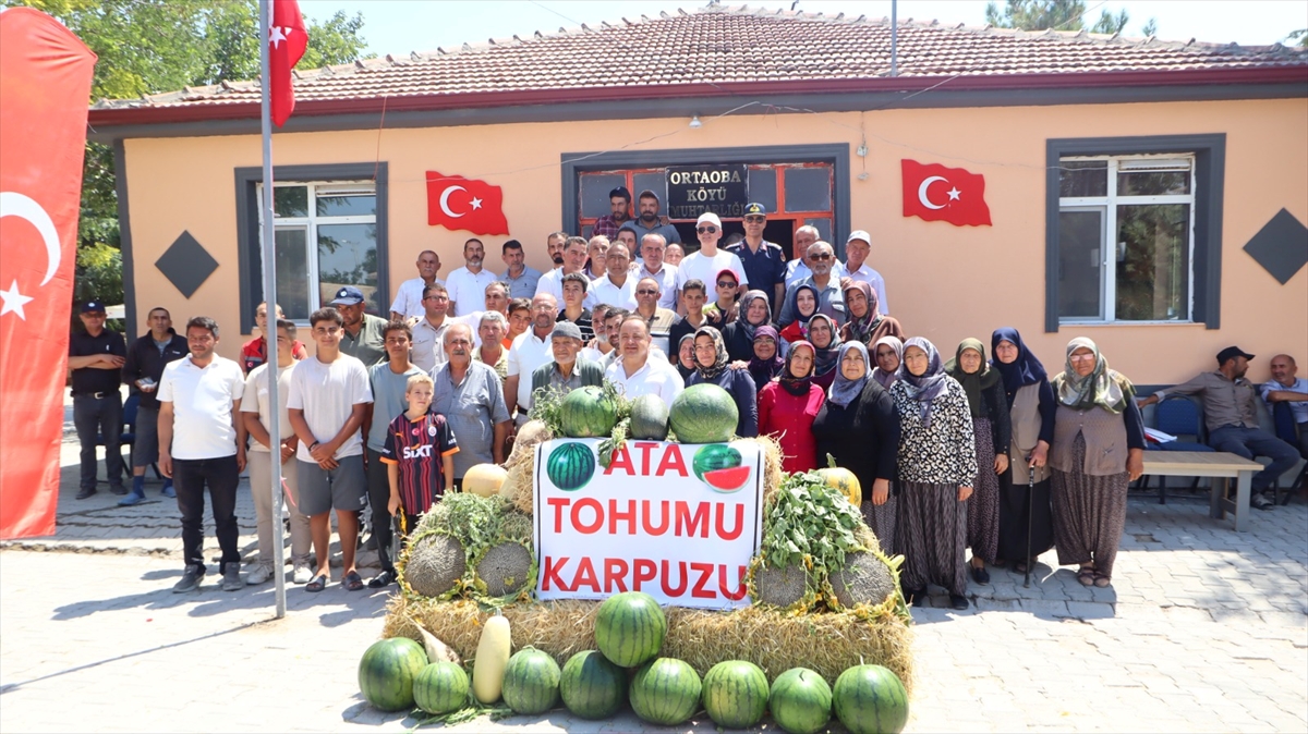 Karaman Valisi Çiçekli, karpuz hasadına katıldı