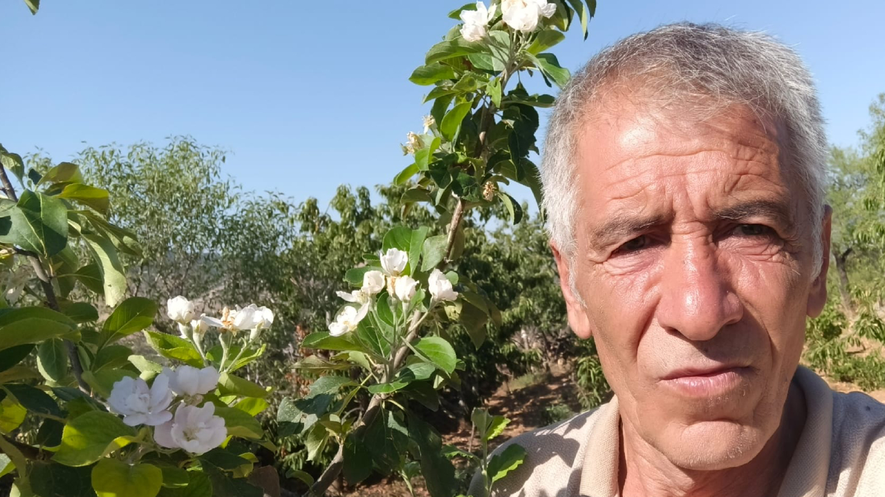 İklim Değişikliğinin Şaşırtan Etkisi: Bozkır'da Elma Ağaçları Ağustos'ta Çiçek Açtı