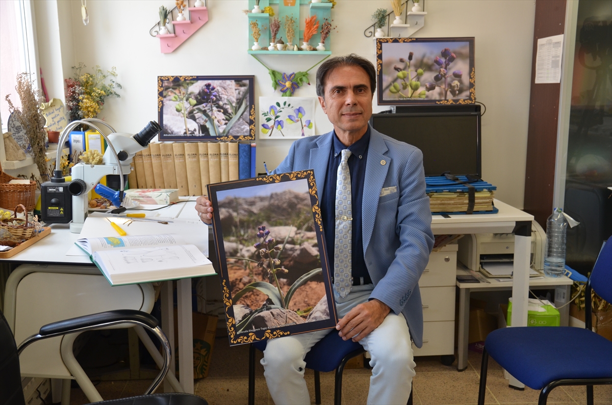 Toros Dağları'nda yeni keşfedilen bir bitki türü, 