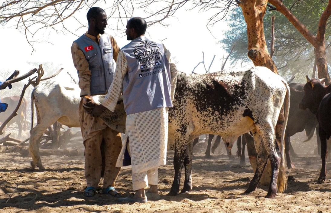 Kurban İbadetinde Beyazgül Derneği'nin Rolü Nedir?