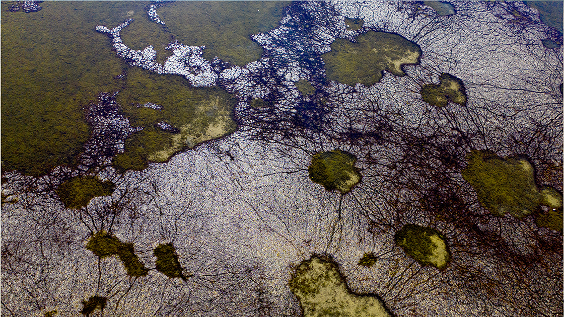Kuraklık Alarmı: Çiftçiler ve Vatandaşlar Önlem Talebinde Bulundu