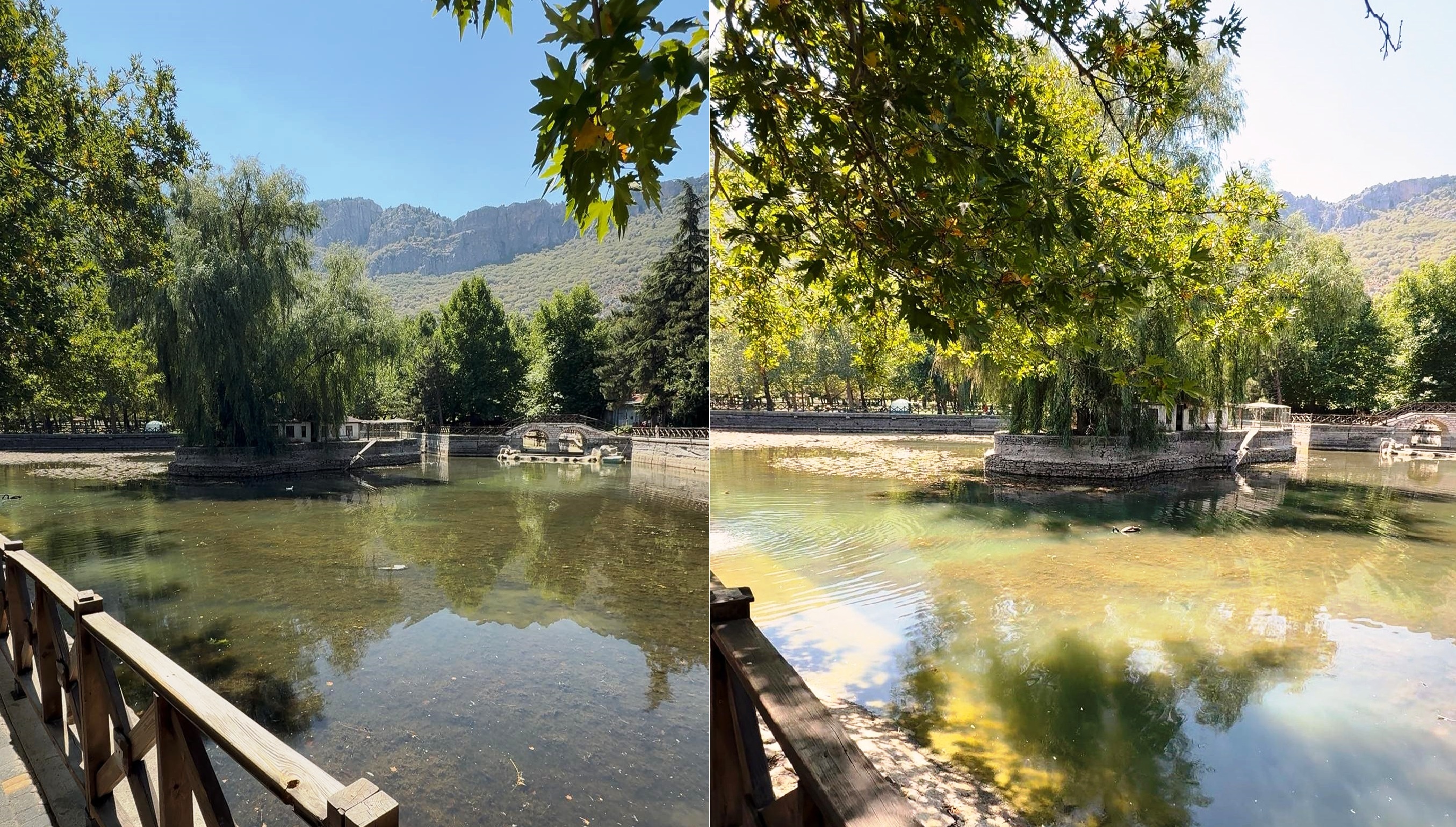 KUĞULU PARK'IN SEMBOLÜ GÖL KURUYOR: KUĞULARIN YAŞAM ALANI TEHLİKEDE