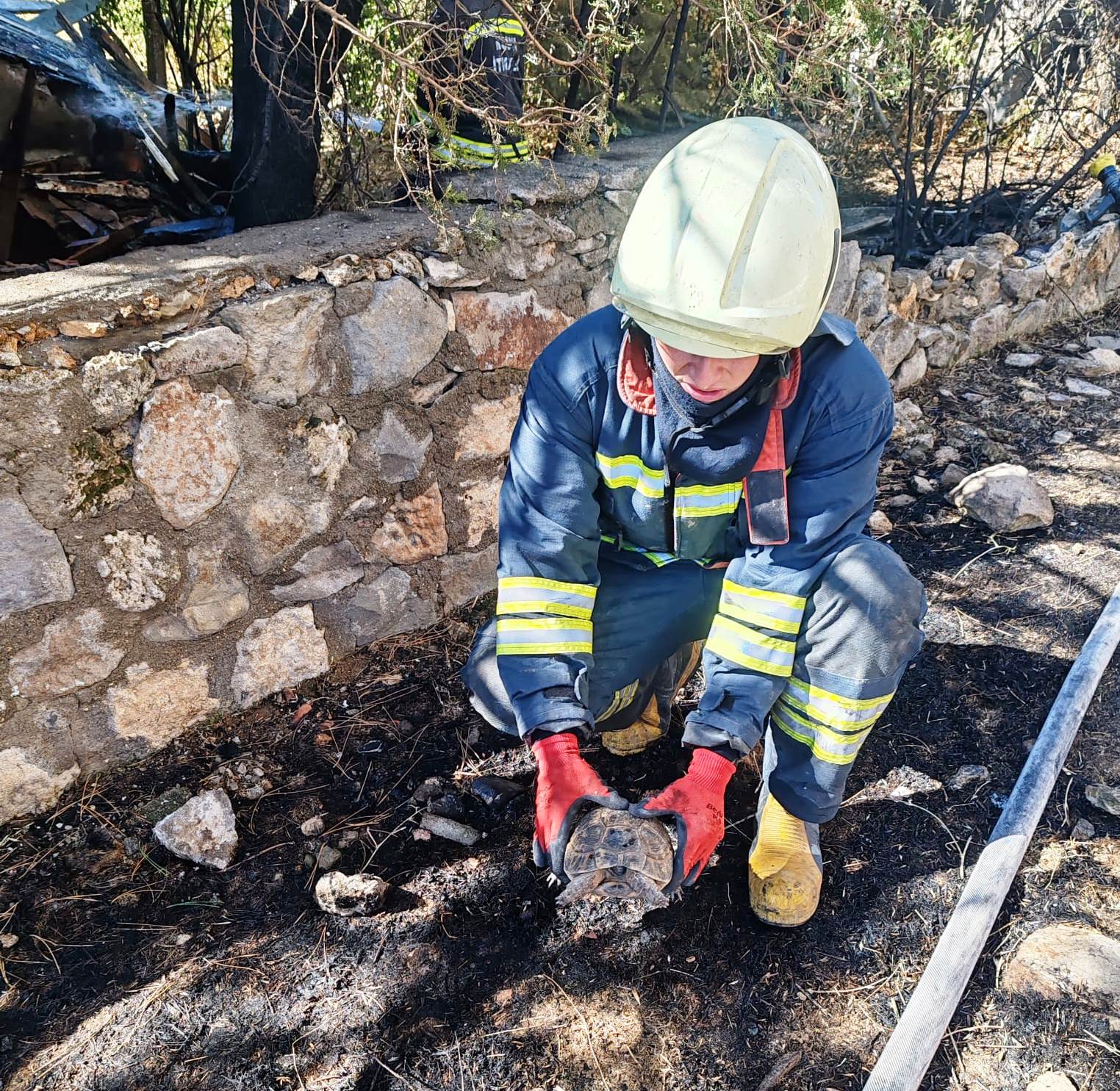 Seydişehir'deki Yangından Bir Can Daha Kurtuldu: İtfaiyenin Kahramanı Olduğu Anlar