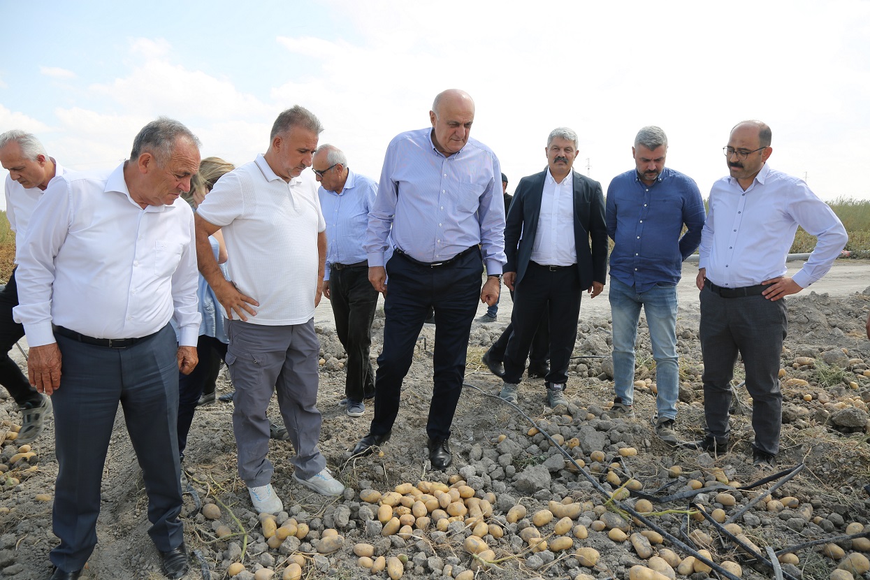Erkoyuncu: 2027'de patates tohumunu dış alıma ihtiyaç duymadan üreteceğiz