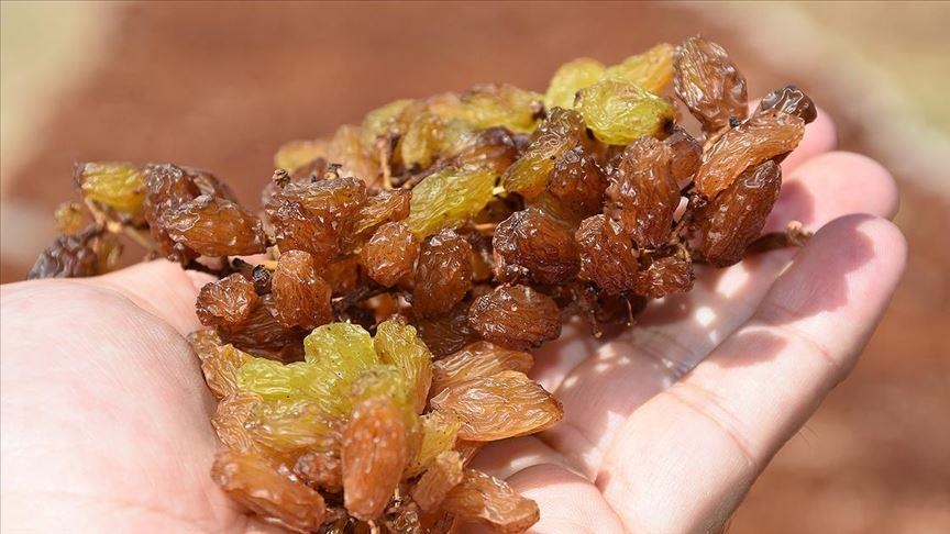 TMO'nun çekirdeksiz kuru üzüm alım fiyatı belirlendi