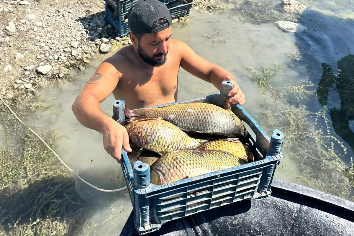 Denizi olmayan ilde balıkçılıktan aylık 200 bin TL kazanıyor