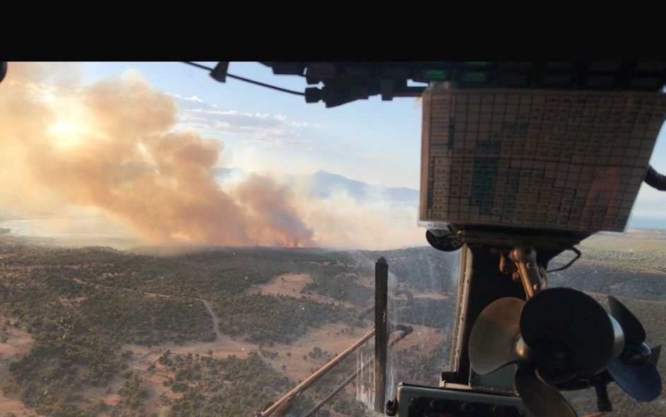 Beyşehir'de Sazlıkta Çıkan ve Ormana Sıçrayan Yangın Kontrol Altına Alındı