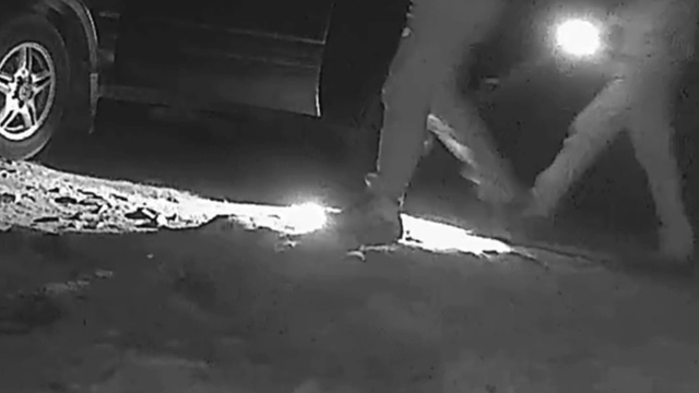 Bartın - Ormanda bozayı vuran kaçak avcılara toplam 170 bin TL ceza