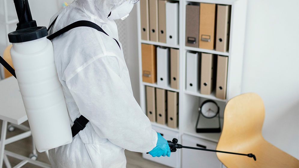 Profesyonel Pire İlaçlama Yöntemleriyle Güvenli Alanlar Yaratın