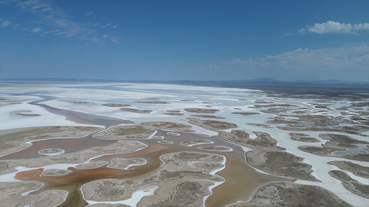 Tuz Gölü'nde yaşanan kuraklık biyolojik çeşitliliği de etkiliyor