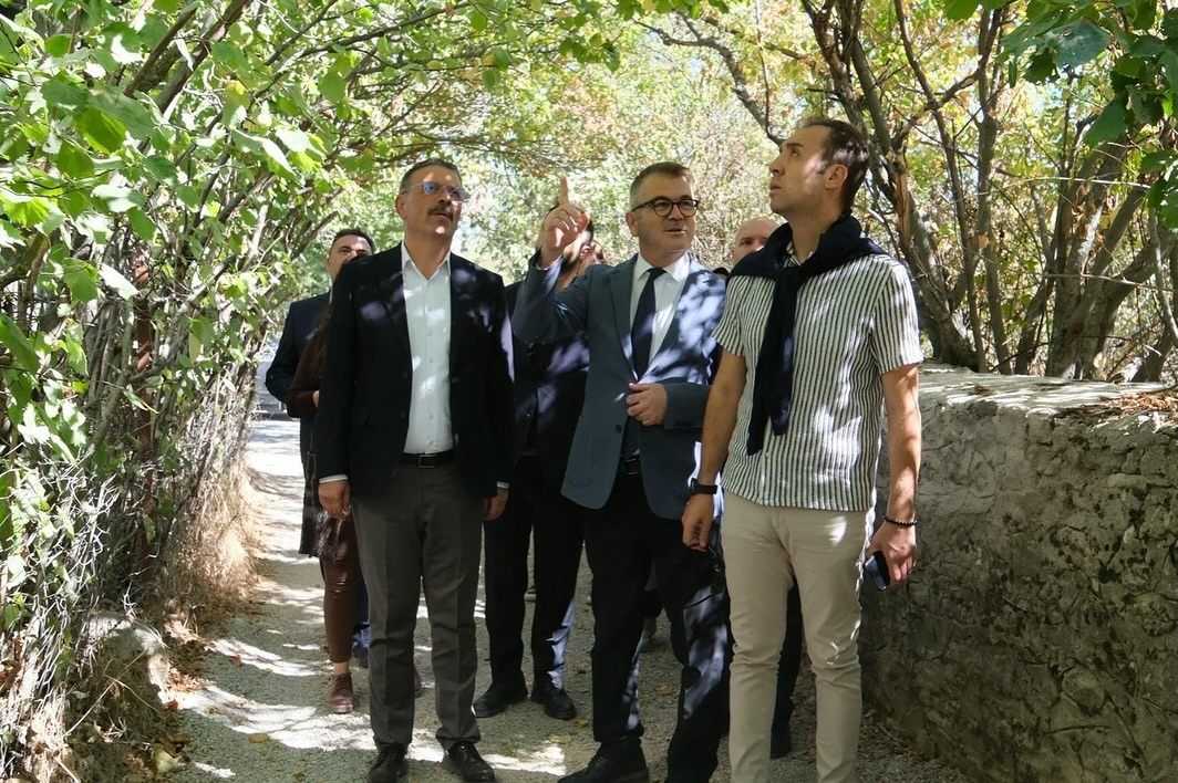 VALİ YARDIMCISI ARCAKLIOĞLU SEYDİŞEHİR’DE İNCELEMELERDE BULUNDU 