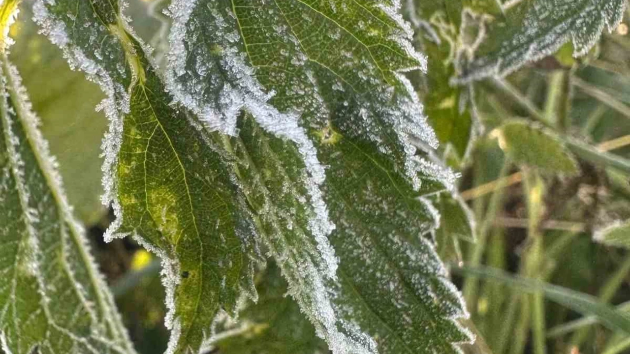  Seydişehir'e  Erken Gelen Kış: Sıcaklıklar Sıfırın Altına Düştü