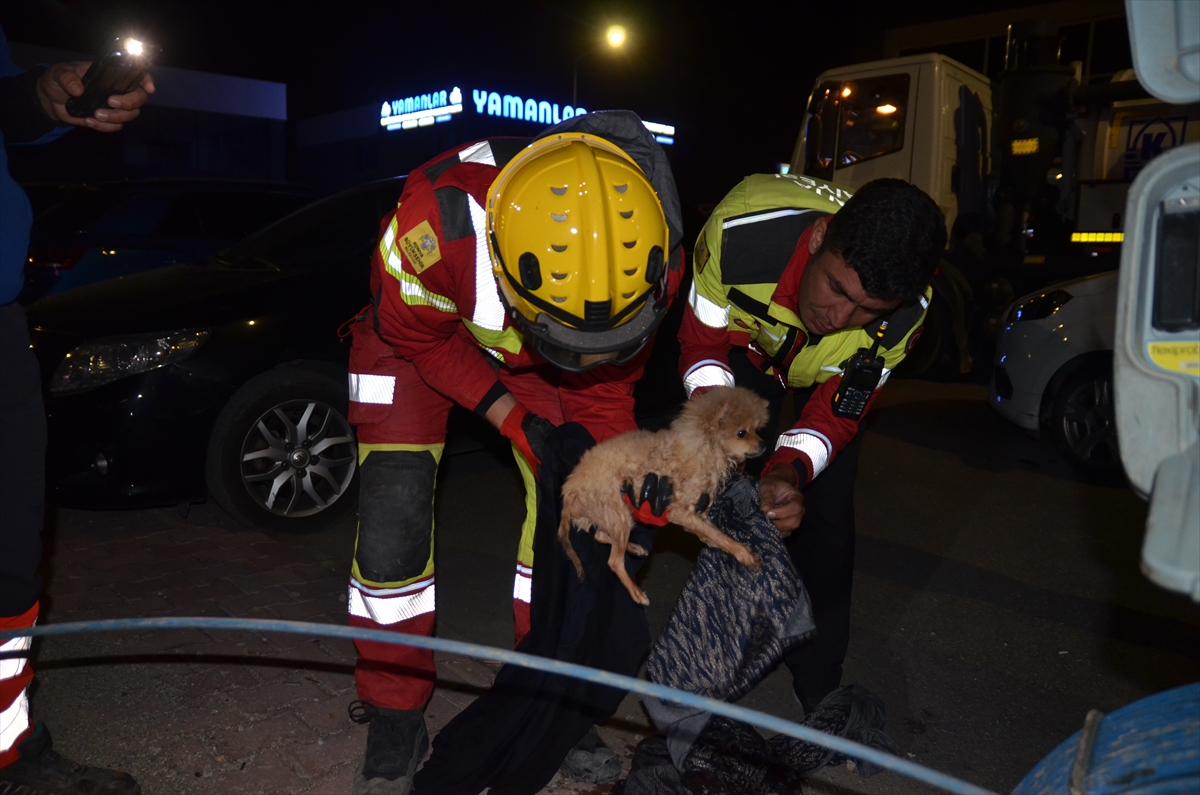 Konya'da kanalizasyon borusuna sıkışan köpek yavrusu itfaiyenin 6 saatlik çalışmasıyla kurtarıldı