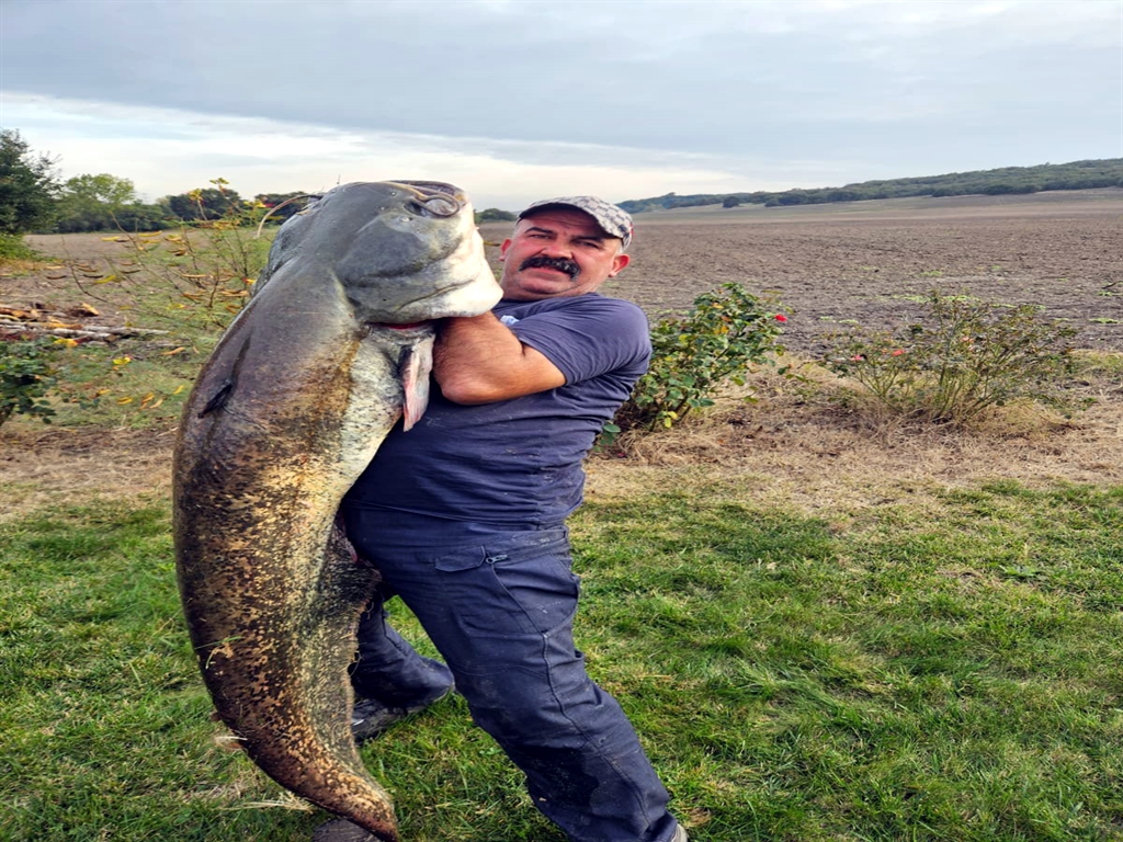 Tekirdağda Oltayla 70 kiloluk yayın yakaladı
