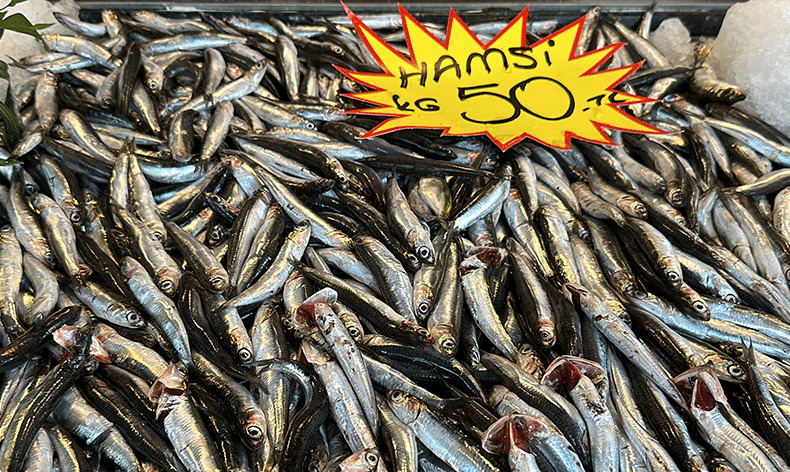 Hamsi Bolluğu Tezgahlara Neşe, Cebe Rahatlık Getirdi