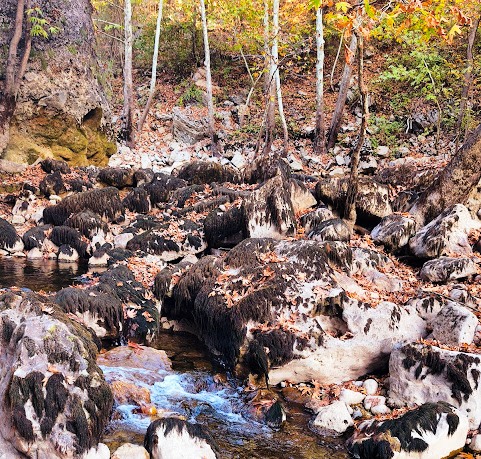 Toroslar'ın İncisi Üzümdere Irmağı Kurudu: 