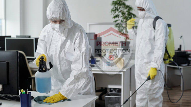 Evde ki Haşerelerden Kalıcı Şekilde Kurtulmak Mümkün Mü?