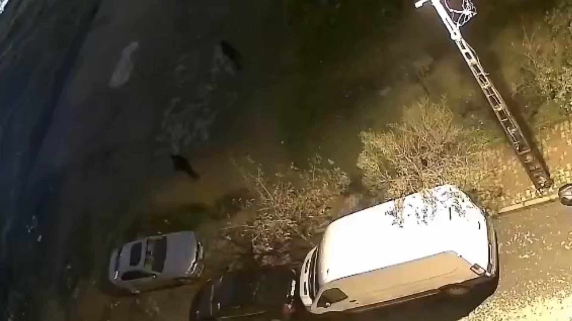 İstanbul- Sultangazi'de park halindeki otomobili yaklaşık 2 dakikada soydular; hırsızlık kamerada