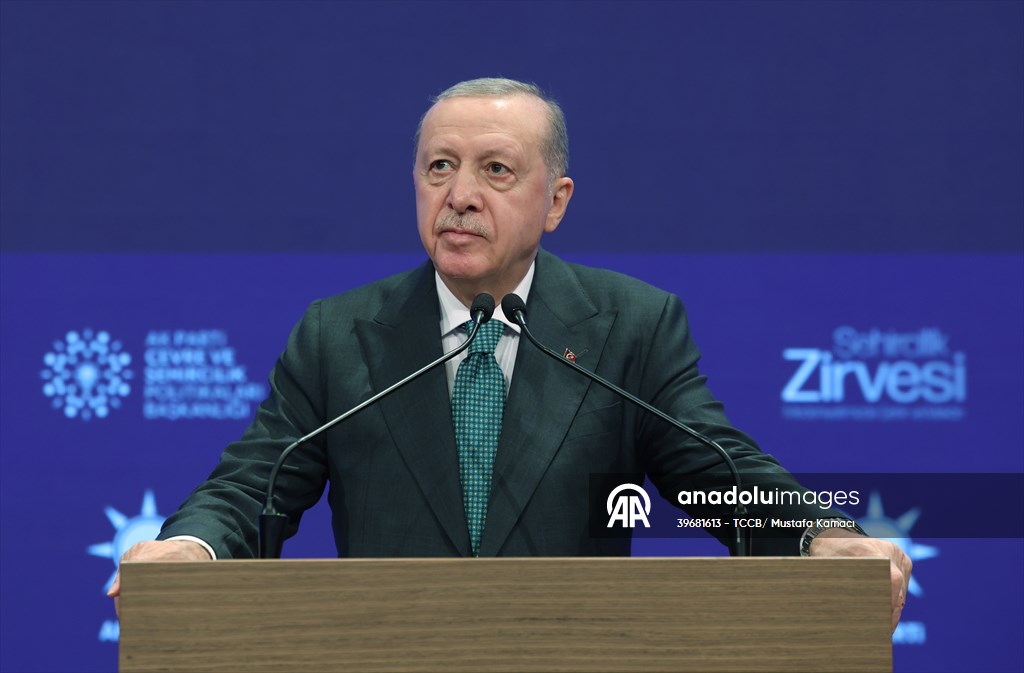 Cumhurbaşkanı Erdoğan'dan Gürcistan-Azerbaycan sınırında düşen askeri kargo uçağına ilişkin açıklama:
