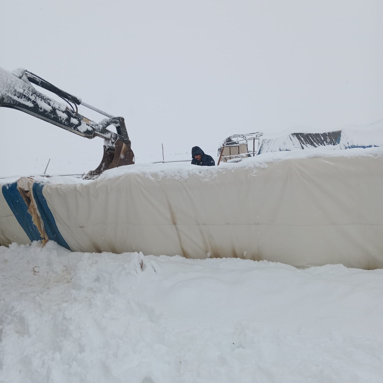 Sivasta Üzerindeki karın ağırlığını taşıyamayan çadır çöktü, 8 koyun öldü