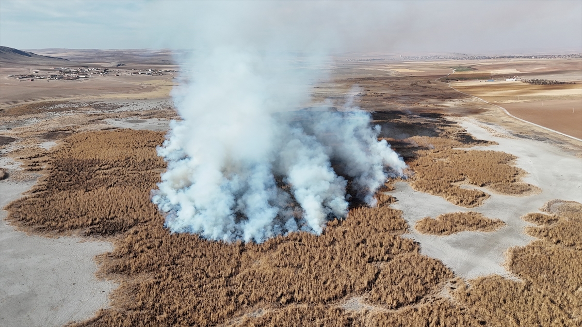 Konya'daki tamamen kuruyan Gökgöl sazlıkları 2 gündür yanıyor